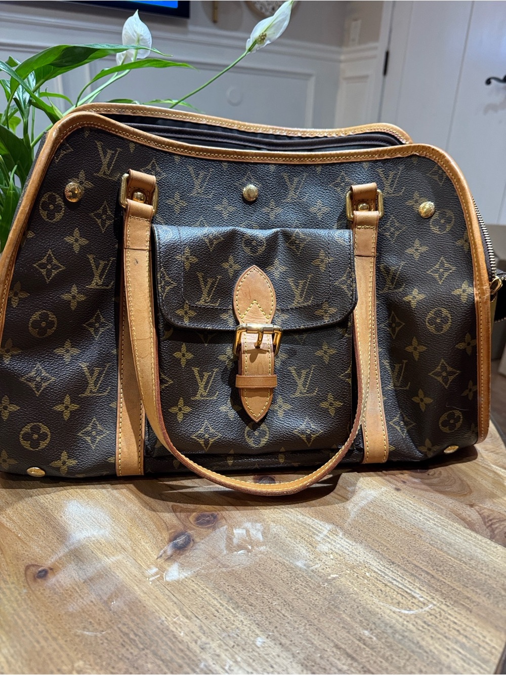 Louis Vuitton Monogram Canvas pet carrier with Tan Trim